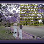 Vinh long thuong