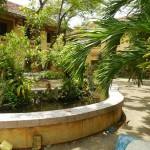 DSCN3825