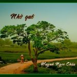 0 nho-que