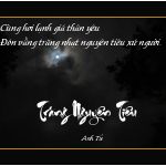 trang nguyentieu