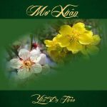 0 mo xuan 1