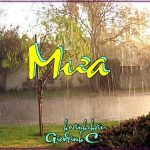 0 mưa