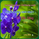 0 SN VTCong
