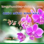 0 SN Vuhong