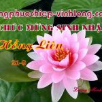 0 SN HLien