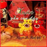 XUÂN VẪN CÒN ĐÂY của Nguyễn Thị Thanh Vân XUÂN VẪN CÒN ĐÂY của Nguyễn Thị Thanh Vân
