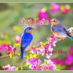 CHỢT XUÂN của Lương Nguyệt Hồng CHỢT XUÂN của Lương Nguyệt Hồng