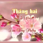 THÁNG HAI ĐI RONG của Lâm Băng Phương THÁNG HAI ĐI RONG của Lâm Băng Phương