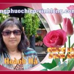 CHÚC MỪNG SINH NHẬT HOÀNH HÀ CHÚC MỪNG SINH NHẬT HOÀNH HÀ