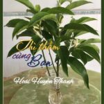 THẦM THÌ CÙNG BẠN của Hoài Huyền Thanh THẦM THÌ CÙNG BẠN của Hoài Huyền Thanh