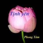 TỊNH YÊN CỦA PHONG TÂM TỊNH YÊN CỦA PHONG TÂM