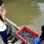 NGÔN NGỮ DIỆU DỤNG NGÔN NGỮ DIỆU DỤNG
