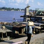 TRĂNG NƯỚC NINH KIỀU CỦA VĂN KIM KHANH TRĂNG NƯỚC NINH KIỀU CỦA VĂN KIM KHANH