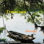 TRƯỚC SAU CỦA THU VÀNG TRƯỚC SAU CỦA THU VÀNG
