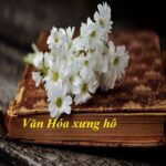 VĂN HOÁ XƯNG HÔ ĐÔI ĐIỀU NHÌN LẠI VĂN HOÁ XƯNG HÔ ĐÔI ĐIỀU NHÌN LẠI