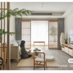 NHỮNG CUỘC TÌNH CHỚP NHOÁNG NHỮNG CUỘC TÌNH CHỚP NHOÁNG