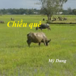 CHIỀU QUÊ CỦA MỸ DUNG CHIỀU QUÊ CỦA MỸ DUNG