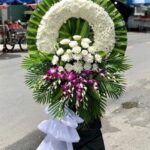 TIN BUỒN TIN BUỒN