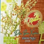 HỘP THƯ BÁO XUÂN