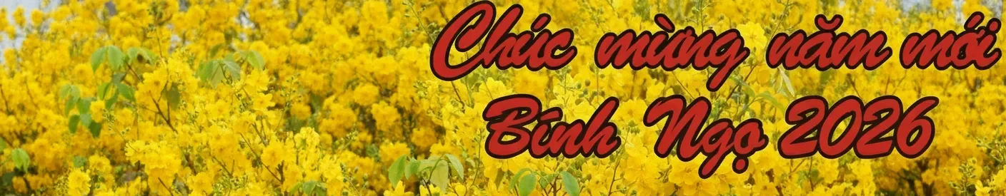 Tống Phước Hiệp Vĩnh Long