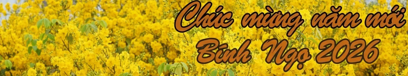 Tống Phước Hiệp Vĩnh Long