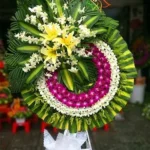 CHIA BUỒN CÙNG BÍCH NGỌC DIỆP