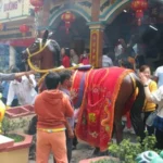 TỤC VUỐT ĐUÔI NGỰA CÓ TỪ BAO GIỜ ? TỤC VUỐT ĐUÔI NGỰA CÓ TỪ BAO GIỜ ?