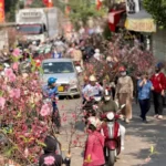 Thời gian ngưng đọng trên những cánh đào