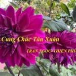 TRẦN NGOC CHÚC TẾT  BÍNH NGỌ 2026!