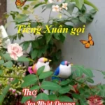 TIẾNG XUÂN GỌI CỦA NHẬT QUANG