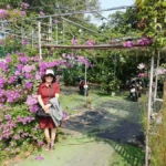 VƯƠNG HOÀI UYÊN ĐI QUA THỜI GIAN BẰNG NHỮNG VẦN THƠ VÀ TRANG VĂN THẤM ĐẪM TÌNH NGƯỜI VƯƠNG HOÀI UYÊN ĐI QUA THỜI GIAN BẰNG NHỮNG VẦN THƠ VÀ TRANG VĂN THẤM ĐẪM TÌNH NGƯỜI