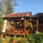 LÊNH ĐÊNH PHẬN BẠC RONG RÊU  