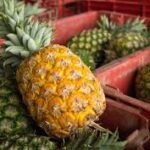 Ăn dứa liên tục 7 ngày có lợi sức khoẻ?