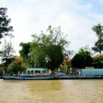 Nhớ bờ sông Cổ Chiên phường Một! Nhớ bờ sông Cổ Chiên phường Một!