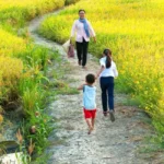 “TRÂU ĂN MỘT ĐỒNG MÀ CON ĐÓI CON NO”