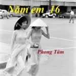 NĂM EM MƯỜI SÁU CUẢ PHONG TÂM