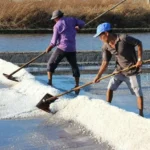 ĐỜI MUỐI TRUÂN CHUYÊN