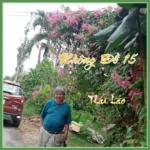 KHÔNG ĐỀ 15 KHÔNG ĐỀ 15
