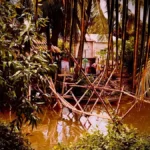 MƯA ĐÊM TỈNH LẺ