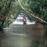 RỪNG TRÀM TRÀ SƯ – MỘT NGÀY ĐI GIỮA MỘT BIỂN XANH RỪNG TRÀM TRÀ SƯ – MỘT NGÀY ĐI GIỮA MỘT BIỂN XANH