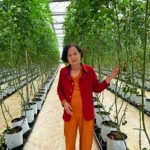 MỘT NGÀY Ở ĐÀ LẠT MỘT NGÀY Ở ĐÀ LẠT
