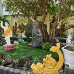 VỀ ĐÂU? VỀ ĐÂU?
