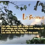 LÁ SƯƠNG CỦA PHONG TÂM LÁ SƯƠNG CỦA PHONG TÂM