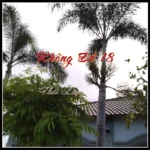 KHÔNG ĐỀ 18 KHÔNG ĐỀ 18