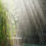 Giai Thoại Văn Chương: VŨ VÔ MÔN HỘ NĂNG LƯU KHÁCH Giai Thoại Văn Chương: VŨ VÔ MÔN HỘ NĂNG LƯU KHÁCH