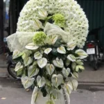 TIN BUỒN TIN BUỒN
