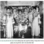 TÌM HIỂU VỀ HẬU CUNG NHÀ THANH: CHIẾC LỒNG VÀNG VÀ SỰ THẬT PHŨ PHÀNG ĐẰNG SAU MÀN ẢNH TÌM HIỂU VỀ HẬU CUNG NHÀ THANH: CHIẾC LỒNG VÀNG VÀ SỰ THẬT PHŨ PHÀNG ĐẰNG SAU MÀN ẢNH