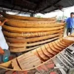 NHỮNG CHIẾC VỎ GÒN MÙA NƯỚC NỔI NHỮNG CHIẾC VỎ GÒN MÙA NƯỚC NỔI